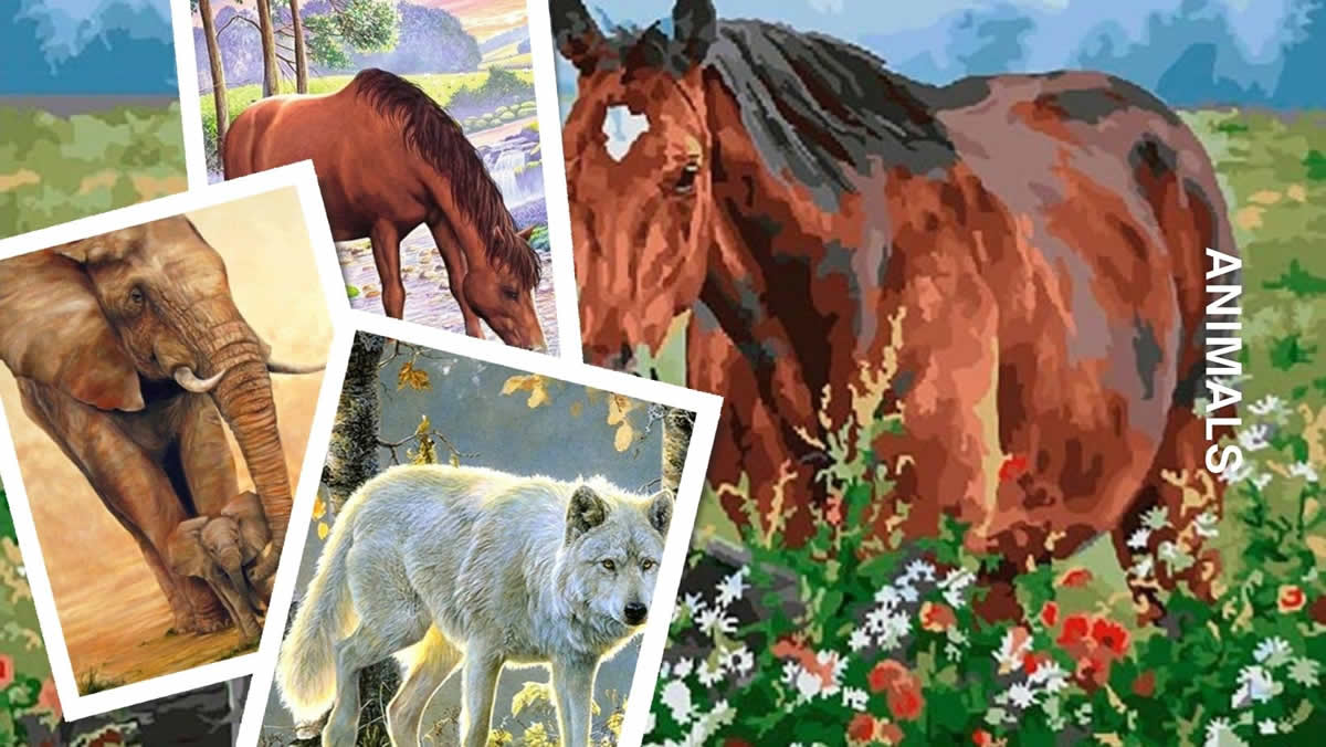 animal paint by numbers